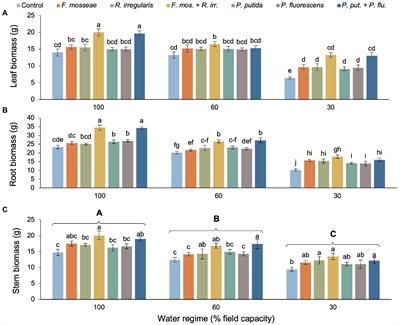 Soil Inoculation With <mark class="highlighted">Beneficial Microbes</mark> Buffers Negative Drought Effects on Biomass, Nutrients, and Water Relations of Common Myrtle